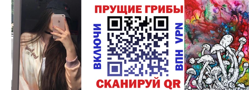 ссылка на мегу сайт  Краснокаменск  Галлюциногенные грибы GOLDEN TEACHER  купить наркотики сайты 