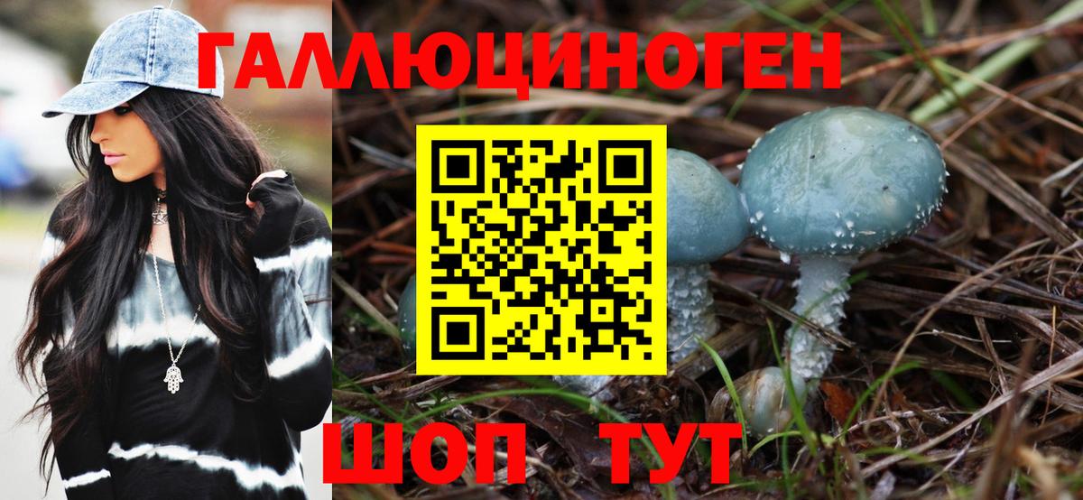 Краснокаменск  Галлюциногенные грибы прущие грибы  Вход с VPN 